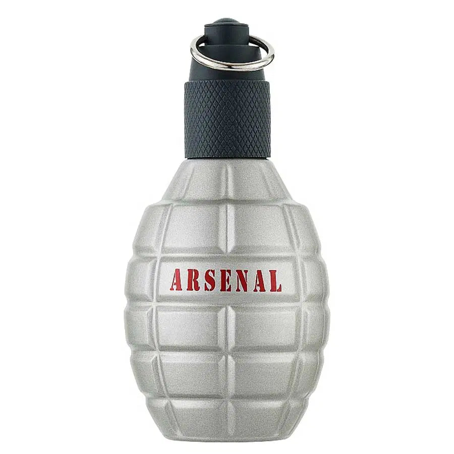 GILLES CANTUEL ARSENAL GRAY